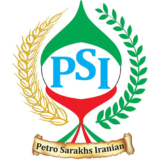 PSI Logo